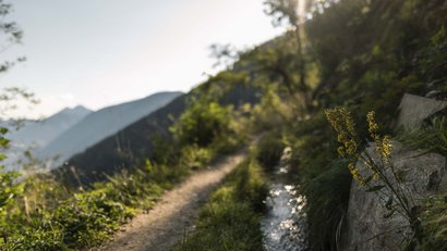 Der Martinerhof: Urlaub im Passeiertal